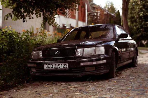 엠오아이 카지노 안드로이드/iOS 앱